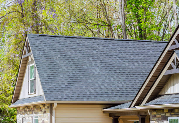 Best Storm Damage Roof Repair  in Monee, IL